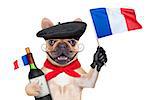 french bulldog with red wine and  beret hat, isolated on white background, waving a flag of france