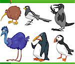 Cartoon Illustration of Funny Birds Set