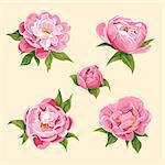 floral background of bright peonies