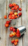 Sweet Maraschino Cherries in Three Tin Buckets on Rustic Wooden background