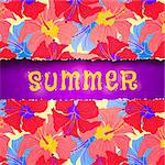 Summer background on torn paper