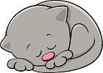 Cartoon Illustration of Cute Little Sleeping Kitten