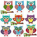 Set of nine colorful ornamental owls with circle elements isolated over white background, cartoon vector illustration