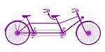 Retro tandem bicycle in purple design on white background