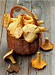 Big Raw Chanterelles in Wicker Basket with Dry Leaf closeup on Rustic Wooden background