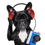 french bulldog dog  listening to oldies with headphones or earphones from a  retro cassette tape   recorder, relaxing with eyes closed, isolated on white background