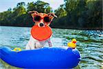 jack russell dog sitting on an inflatable  mattress in water by the  sea, river or lake in summer holiday vacation , rubber plastic toy included