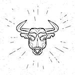 Vintage design of angry bull head on white