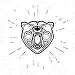 Vintage design of screaming angry bear head. Text outlined