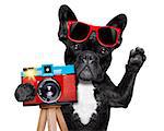 cool tourist photographer dog taking a snapshot or picture with a retro old camera gesturing to say cheese , isolated on white background