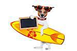silly funny cool  surfer dog holding  fancy surf board and blank empty placard or blackboard, isolated on white background