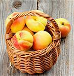 Sweet Ripe Apricots in Wicker Basket closeup on Rustic Wooden background