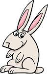 Cartoon Illustration of Rabbit Farm Animal Character