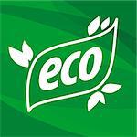 eco vector logo on a green background