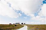 Dirt road leading to lighthouse