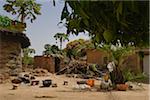 House with chicken in courtyard, near Gaoua, Poni Provnce, Burkina Faso