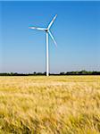 Wind turbine with wheat field in foreground, Germany