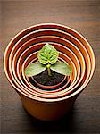 Plant sprouting in nesting flowerpot