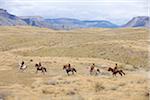 Cowboys and Cowgirls riding horse in wilderness, Rocky Mountains, Wyoming, USA