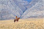 Cowboy riding horse in wilderness, Rocky Mountains, Wyoming, USA