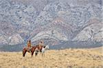 Cowboy and Cowgirl riding horses in wilderness, Rocky Mountains, Wyoming, USA
