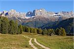 Track leading towards to Rosengarten (Catinaccio) mountains near the village Tiers, Wuhnleger Area, Tiers, Tierser Tal, Valle di Tiers, Bolzano district, Bozen Province, South Tyrol, Trentino-Alto Adige, Dolomites, Italy, European Alps.