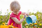 Female toddler emptying watering can in flower field