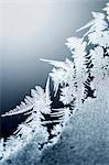 Close-up of frost