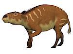 Eurohippus is the herbivorous forerunner of the horse that lived in the Eocene Period in tropical jungles of Europe.