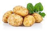 New potatoes with green leaves. Isolated on white background