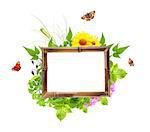Message of nature. Bamboo frame with summer flowers, green leaves and insect. Isolated on white background