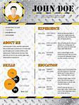 Cool industrial design curriculum vitae cv resume design template