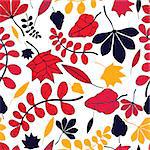 seamless autumnal leaves pattern on white background