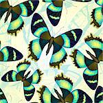 Seamless pattern with bright butterflies. Vector illustration, EPS 10