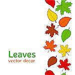 Seamless autumn colorful leaves pattern background