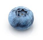 Fresh blueberry. Isolated on white background