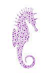 Seahorse in purple design on white background