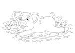Vector illustration of cute pig in a puddle, funny piggy standing on water puddle, coloring book page for children