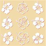 Beautiful white vector hibiscus silhouette icons isolated