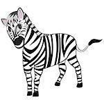Funny Cartoon Character Zebra With Wide Smile Over White Background.  Hand Drawn in Perspective Elegant Cute Design. Tropical and Zoo  Fauna. Vector illustration.