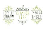 Hand-sketched typographic elements. Farm product labels. Suitable for ads, signboards, packaging and identity and web designs. Locally grown. Farm for life. Farm to table.
