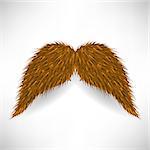 Brown Hairy Mustache Isolated on Grey Background