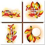 Colorful autumn leaves background  Paper design Vector