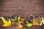 Autumnal leaves with pinecone and acorn on wooden board