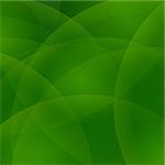 Abstract Light Green Background. Abstract Wave Green Pattern.