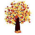 Autumn Maple Tree With Falling Leaves on White Background. Elegant Design with Ideal Balanced Colors. Vector Illustration.