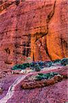 Valley of the Winds, Olgas (Kata Tjuta), Uluru-Kata Tjuta National Park, Northern Territory, Australia