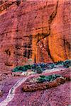 Valley of the Winds, Olgas (Kata Tjuta), Uluru-Kata Tjuta National Park, Northern Territory, Australia