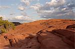 View of petrified dune, Snow Canyon State Park, Utah, USA