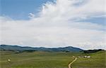 Parked cars and rural road at strawberry reservoir, Heber City, Utah, USA